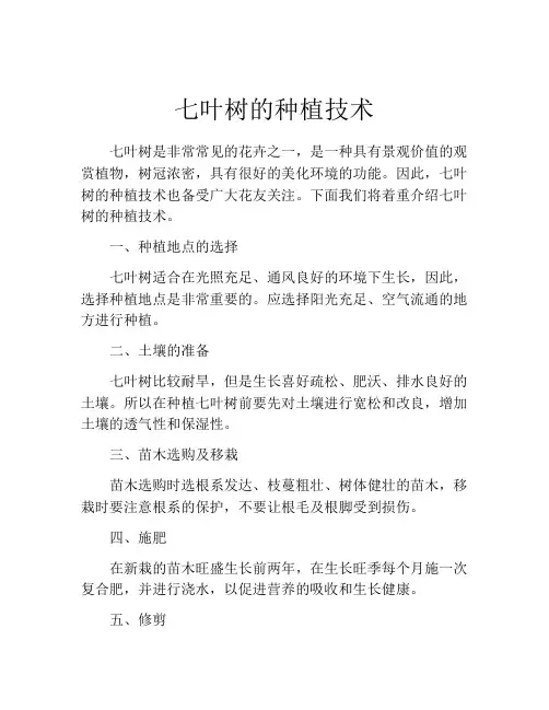七叶树的种植技术