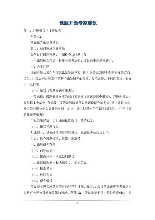 课题开题专家建议