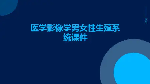 医学影像学男女性生殖系统课件