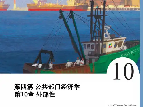 10章外部性