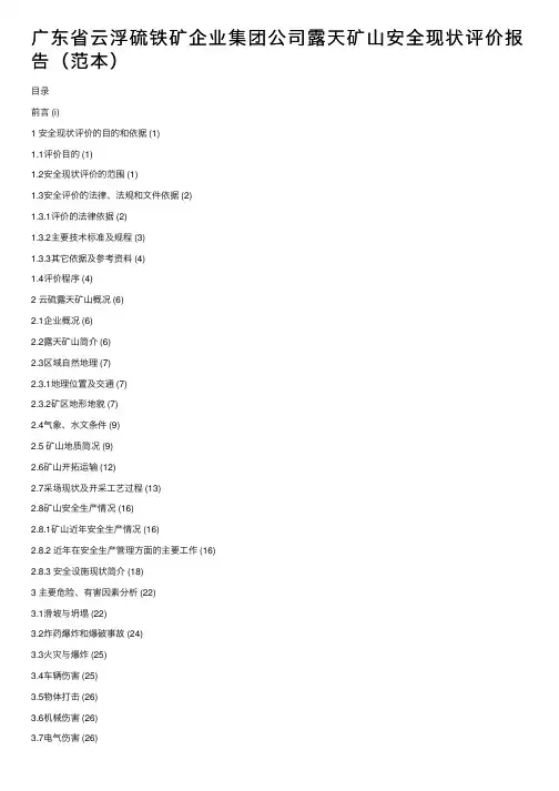 广东省云浮硫铁矿企业集团公司露天矿山安全现状评价报告（范本）