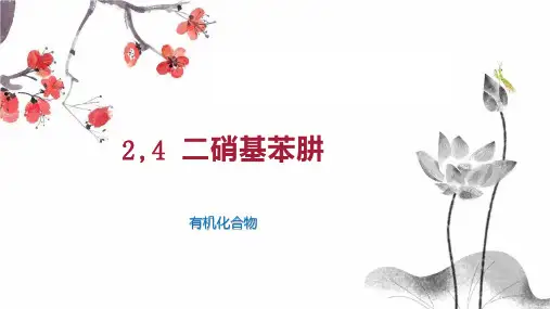2,4 二硝基苯肼