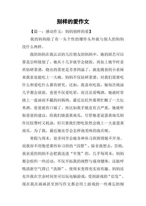 别样的爱作文