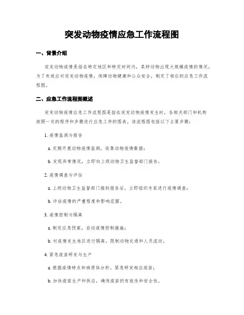 突发动物疫情应急工作流程图
