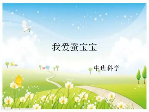 幼儿园中班科学《我爱蚕宝宝》PPT课件