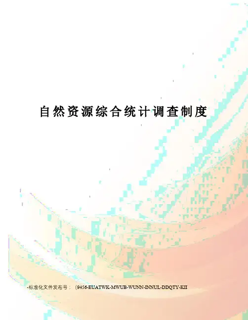 自然资源综合统计调查制度