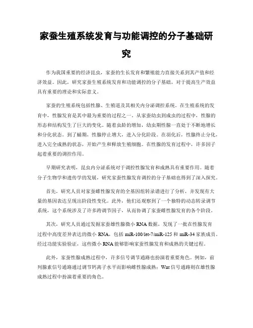 家蚕生殖系统发育与功能调控的分子基础研究