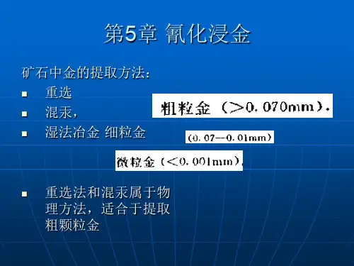 氰化浸出.ppt
