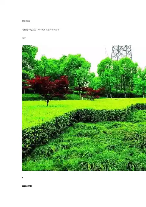 按照植树技术流程