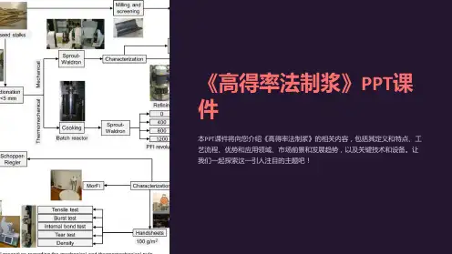 《高得率法制浆》课件