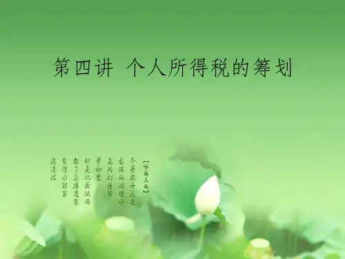 《个人所得税的筹划》PPT课件