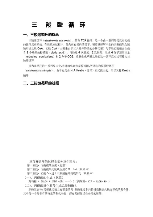 三羧酸循环