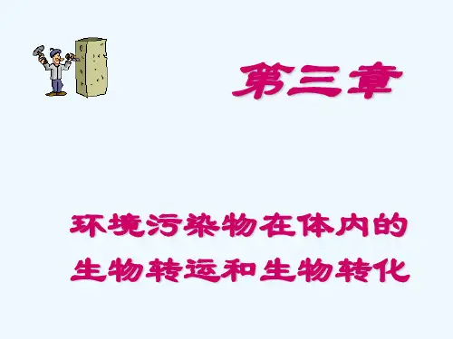 第三章环境污染物在体内的生物转运和生物转化