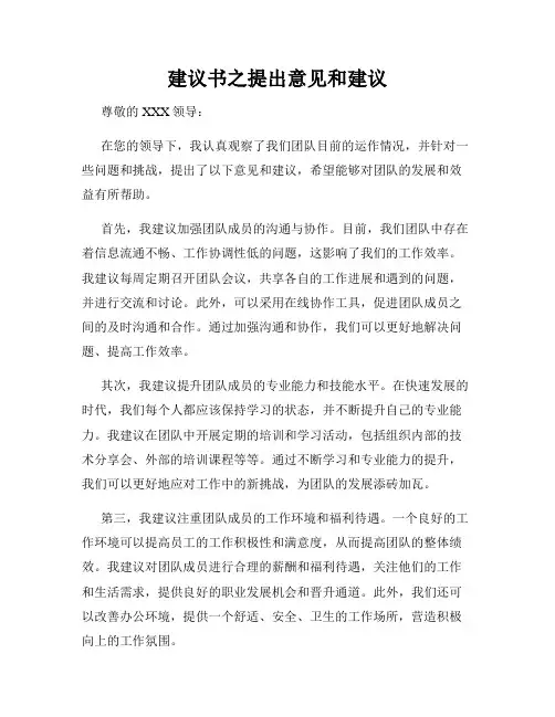 建议书之提出意见和建议