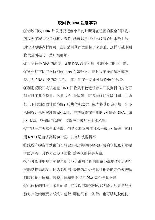 胶回收dna注意事项