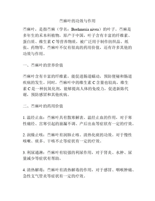 苎麻叶的功效与作用