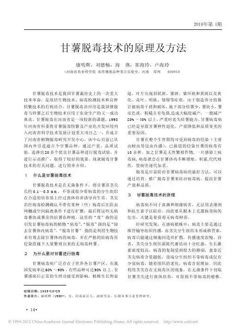 甘薯脱毒技术的原理及方法_康明辉
