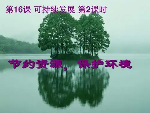 教科版九上《节约资源,保护环境》ppt课件