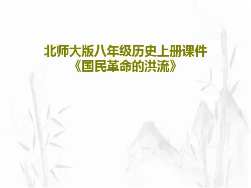北师大版八年级历史上册课件《国民革命的洪流》共39页PPT