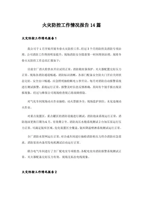 火灾防控工作情况报告14篇