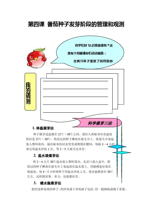 第四课番茄种子发芽阶段的管理和观测_20090930042425248