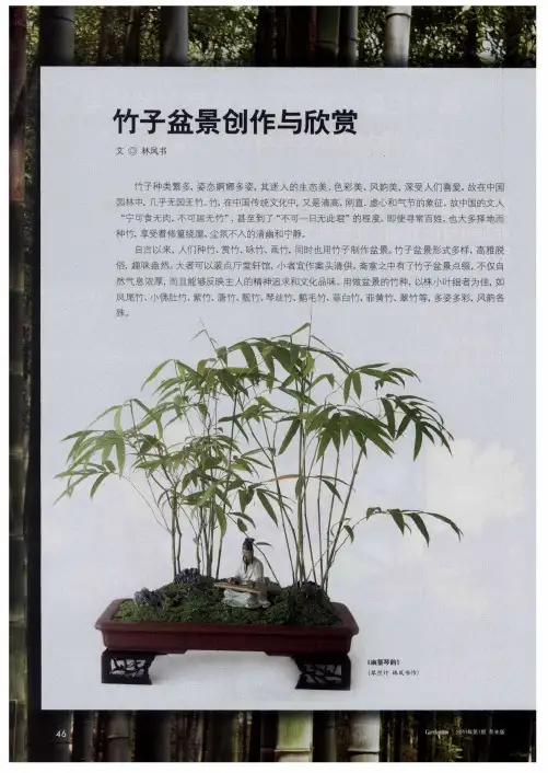 竹子盆景创作与欣赏