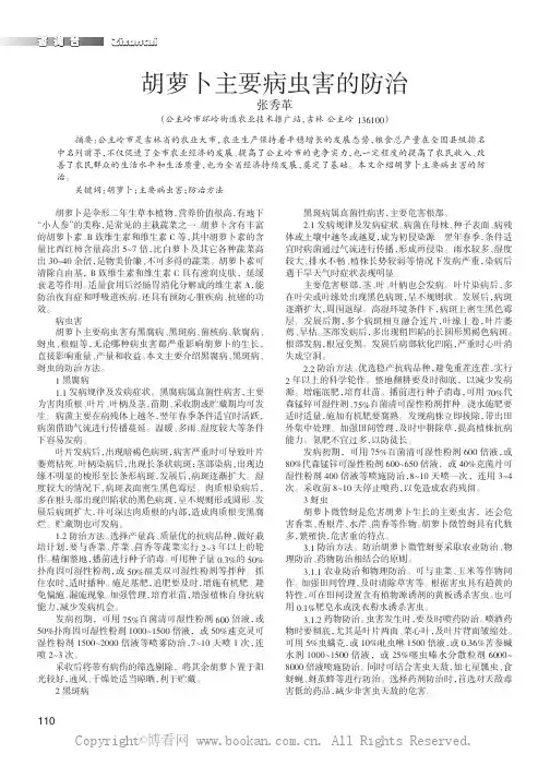 胡萝卜主要病虫害的防治