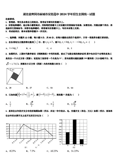 湖北省黄冈市麻城市实验高中2024学年招生全国统一试题