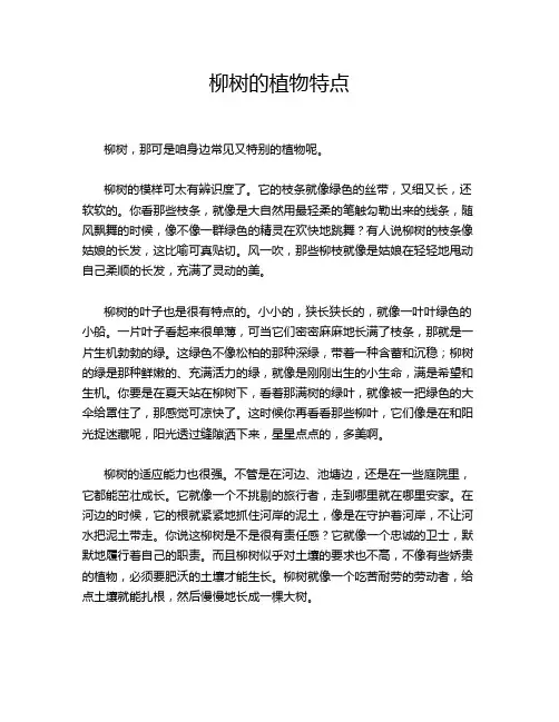 柳树的植物特点