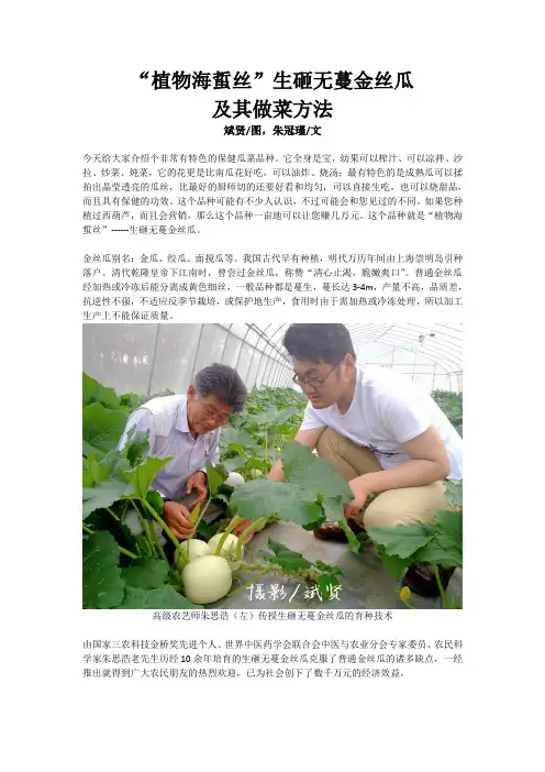 植物海蜇丝-生砸无蔓金丝瓜的简介及做菜方法