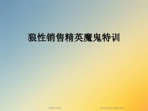 狼性销售精英魔鬼特训