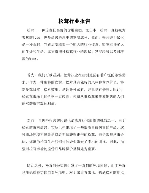 松茸行业报告