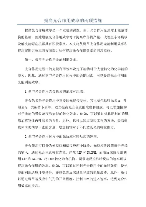 提高光合作用效率的两项措施