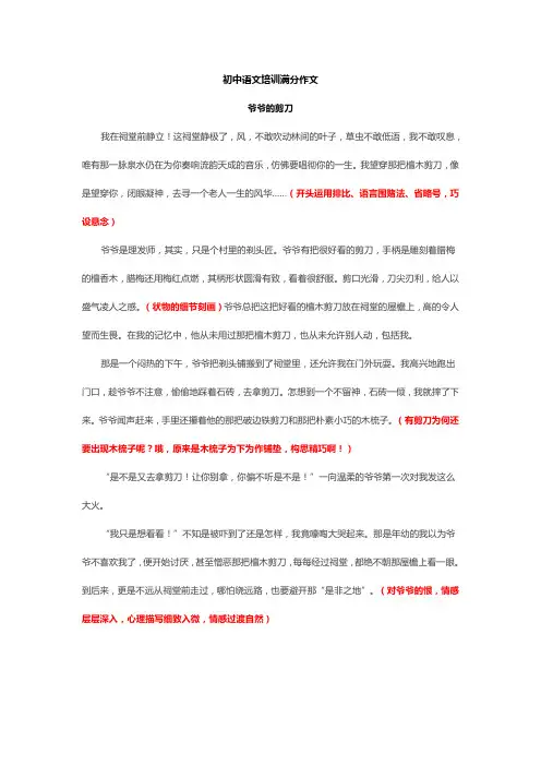 初中语文培训满分作文