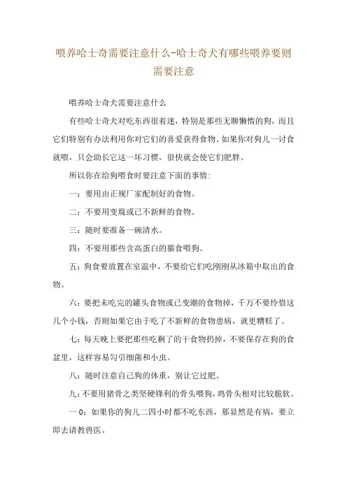 喂养哈士奇需要注意什么-哈士奇犬有哪些喂养要则需要注意