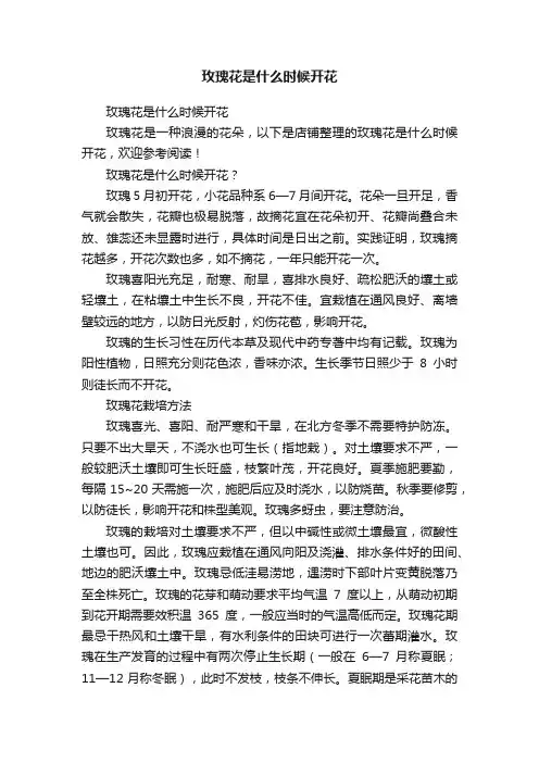 玫瑰花是什么时候开花