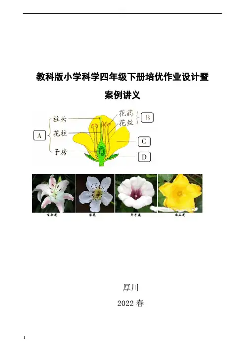 四年级下册科学第一单元《作业设计》第1——4课习题答案解析(教科版)