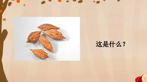 部编版三年级语文下册《枣核》精品课件