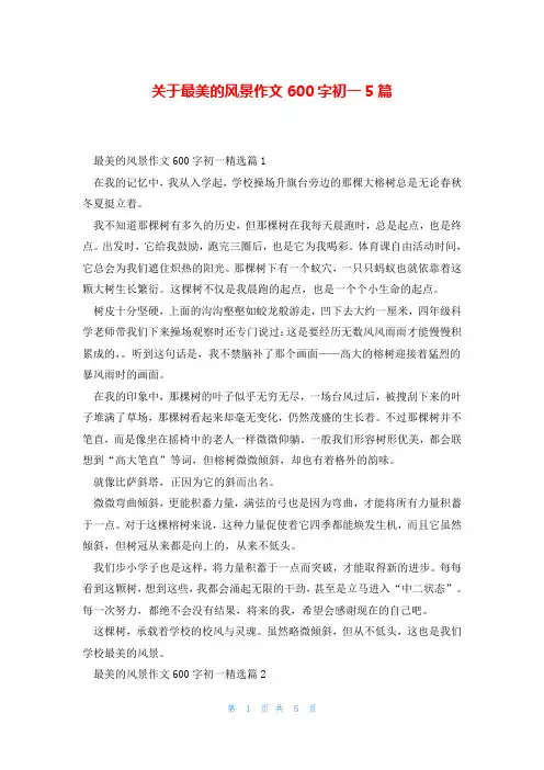 关于最美的风景作文600字初一5篇