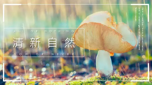 创意文艺清新自然旅行纪念画册电子相册PPT