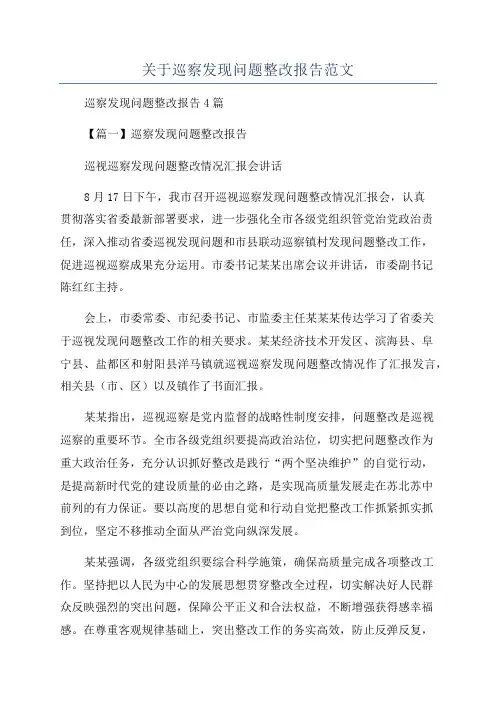 关于巡察发现问题整改报告范文