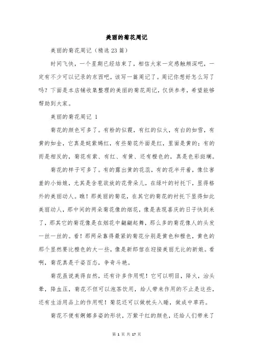 美丽的菊花周记
