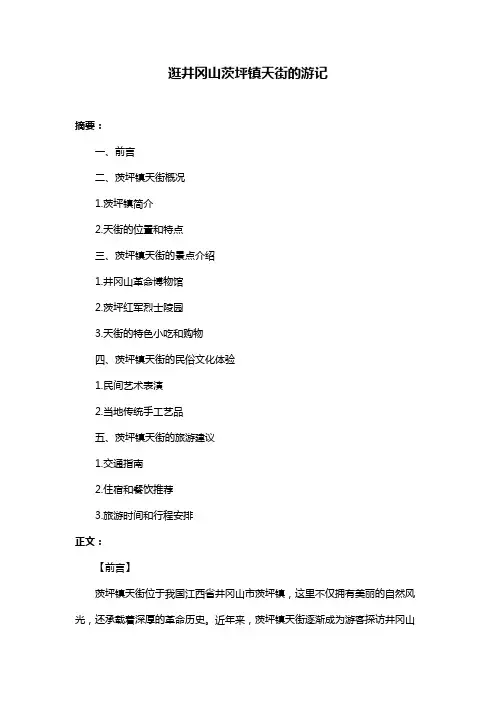 逛井冈山茨坪镇天街的游记