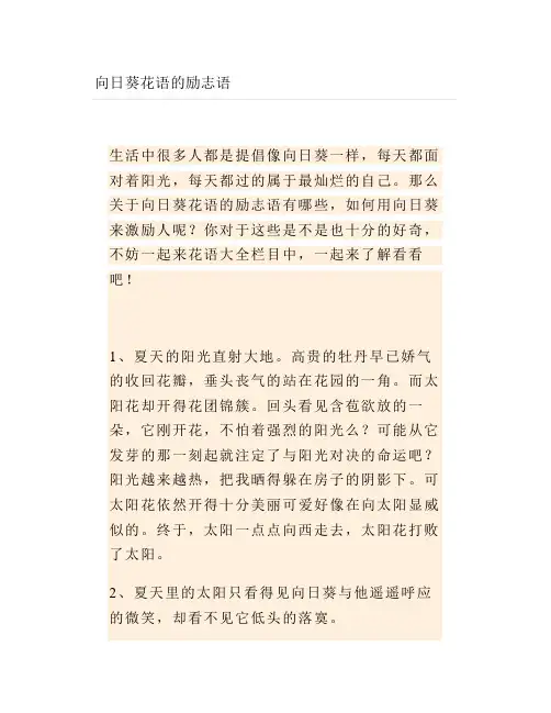 向日葵花语的励志语