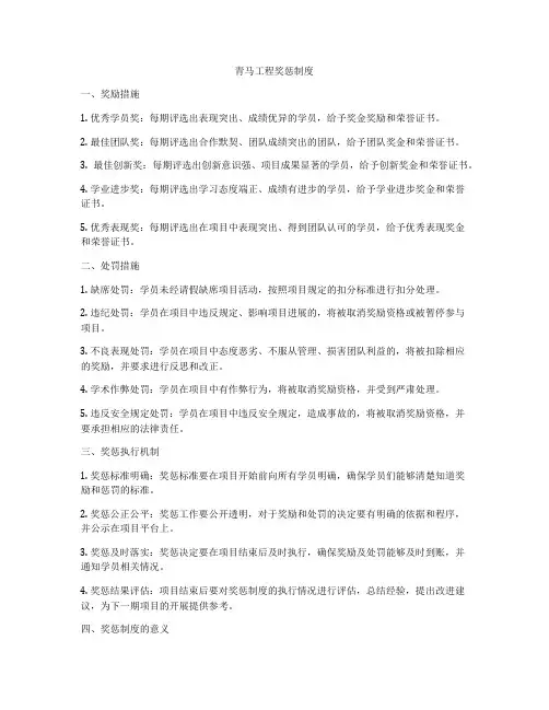 青马工程奖惩制度