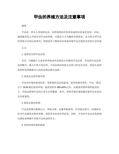甲虫的养殖方法及注意事项