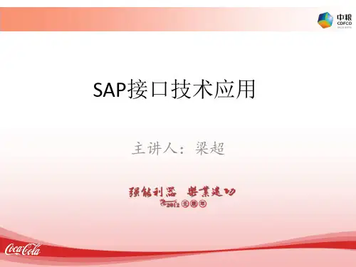 SAP接口