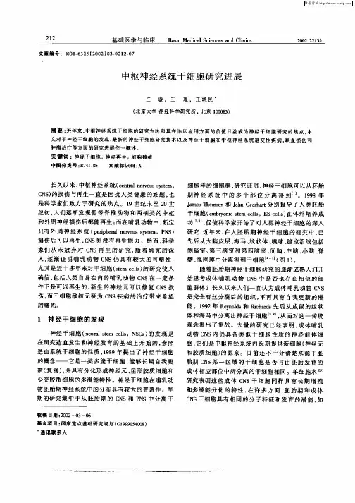 中枢神经系统干细胞研究进展