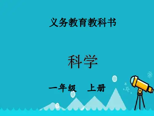 优质教科版一年级上册科学观察一棵植物课件PPT2020年
