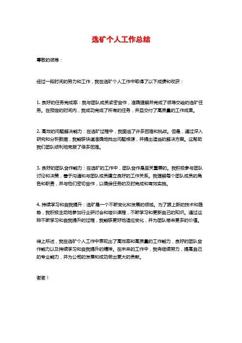 选矿个人工作总结